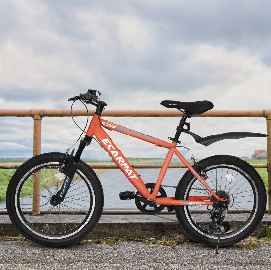 "20-inch bike offers a perfect combination of durability, safety, and style, designed for young riders looking to explore and enjoy the outdoors with confidence and comfort"