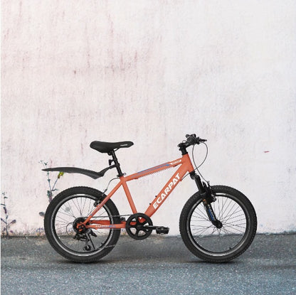 "20-inch bike offers a perfect combination of durability, safety, and style, designed for young riders looking to explore and enjoy the outdoors with confidence and comfort"