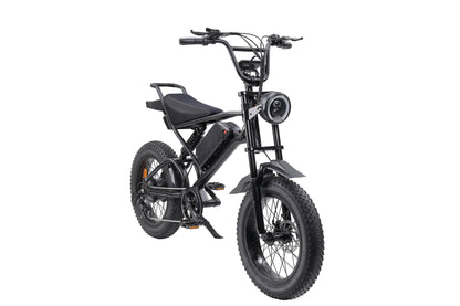 "V2 E-bike 1000W Motor, 48V 15Ah Battery, 20-Inch Fat Tires, 45-50KM Max Speed, Shimano 7-Speed, Dual Suspension, LCD Display, 40-120KM Range - Powerful and Versatile Electric Bike for Urban and Off-Road Adventures"