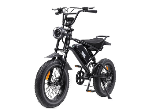 "V2 E-bike 1000W Motor, 48V 15Ah Battery, 20-Inch Fat Tires, 45-50KM Max Speed, Shimano 7-Speed, Dual Suspension, LCD Display, 40-120KM Range - Powerful and Versatile Electric Bike for Urban and Off-Road Adventures"