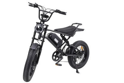 "V2 E-bike 1000W Motor, 48V 15Ah Battery, 20-Inch Fat Tires, 45-50KM Max Speed, Shimano 7-Speed, Dual Suspension, LCD Display, 40-120KM Range - Powerful and Versatile Electric Bike for Urban and Off-Road Adventures"