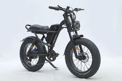 "20inch Powerful 750W E-bike with 48V 15.6Ah Battery, 45KM Top Speed, 40KM Range, 20-Inch Fat Tires, LCD Display, and 8-Hour Charging Time – Perfect for Urban Adventures"